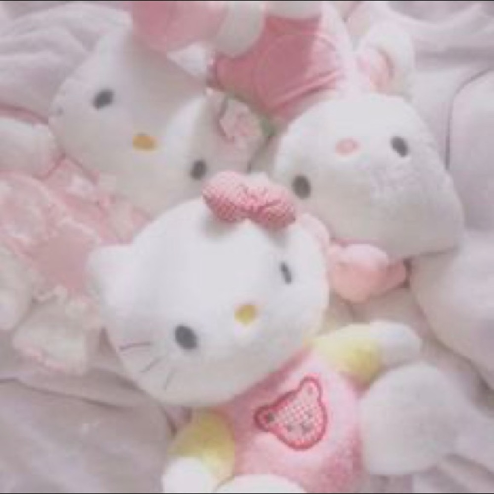 Meet your Posher, A&m